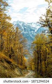 View Of Landscape Through Autumn Forest To The High Mountains In The Snow. Transition From Autumn To Winter.