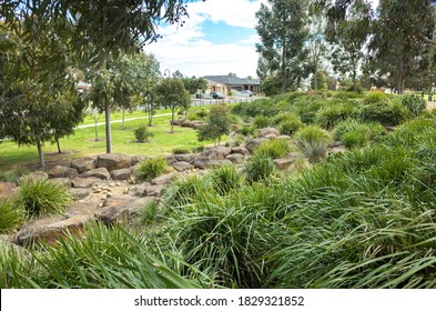 View Of A Landscaped Suburban Park With Footpath, Rocks, Eucalyptus Gum Trees, And Some Australian Native Plants In A Residential Neighborhood. Melbourne, VIC Australia.