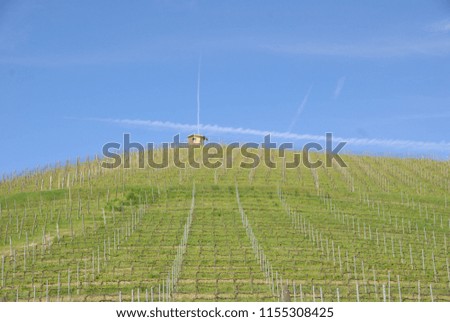 Tower in the vineyard Food