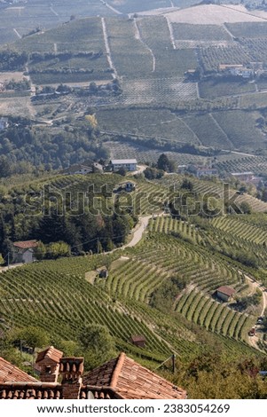 View of the Langhe-Roero hills and vineyards from Diano d'Alba in Piedmont. Italy