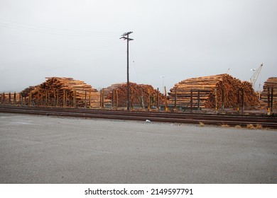 A View Of A Large Pile Of Tree Logs Seen At A Local Logging Yard. 