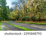 A view of the last autumn colors on trees at Seahurst Park in Burien, Washington.