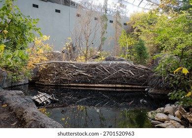 View of Laurentian Maple Forest section inside Montreal Biodome.
