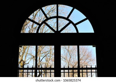view to leafless trees through arched window