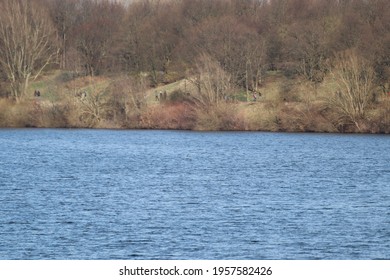 A View Of A Leafless Woody Terrain By The Lake