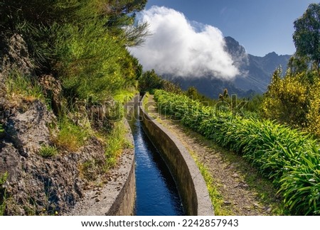 View from Levada do Norte on the portuguese island of Madeira. Spring in Madeira. Levada irrigation canal. Hiking in Madeira. 