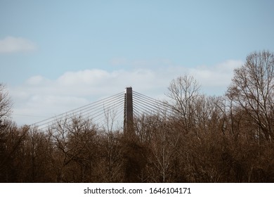 View Of Lewis And Clark Bridge From Woodland Clearing