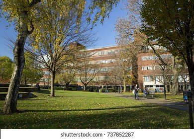 129 Manchester metropolitan university Images, Stock Photos & Vectors ...