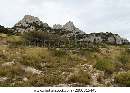 View of limestone rock formations in Calanques National Park near Marseille city. Bouches du Rhone department. France. Europe.