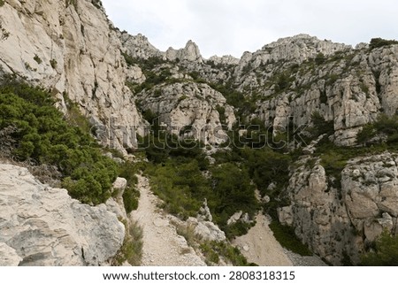 View of limestone rock formations in Calanques National Park near Marseille city. Bouches du Rhone department. France. Europe.