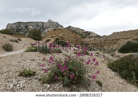 View of limestone rock formations in Calanques National Park near Marseille city. Bouches du Rhone department. France. Europe.