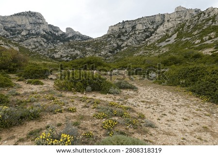 View of limestone rock formations in Calanques National Park near Marseille city. Bouches du Rhone department. France. Europe.