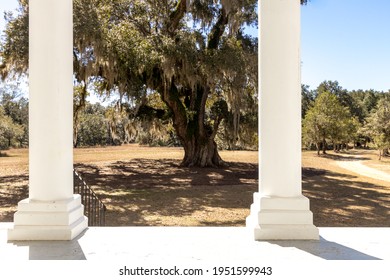 View of a live oak tree between the pillars of a front porch in the deep south of the United States.