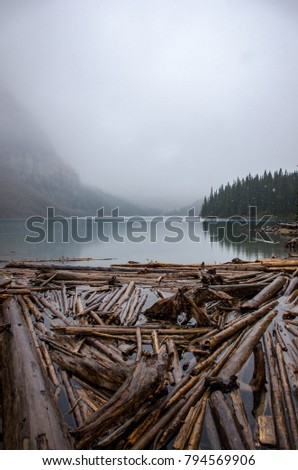 A view with logs in Moraine Lake, Canada on a foggy snowy day. Stock photo © 