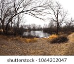 View looking down a hill to a weathered pier sticking out into the calm tree lined water of a pond as snow falls on the brown grass and brush pile in rural wisconsin.