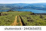 View looking down a mountain biking trail on a steeply sloping meadow with a few small pine trees down near a massive river winding out of view.