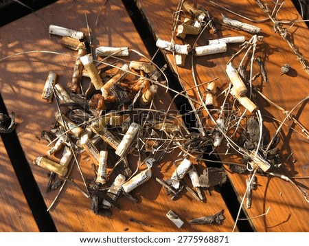 View looking down onto a collection of used cigarette butts dumped onto a wooden park bench with health warning text on the butts