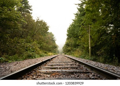 View Looking down Train Tracks through Forest in Autumn with a Shallow Depth of Field on a Fall Day