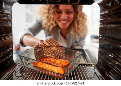 View Looking Out From Inside Oven As Woman Cooks Oven Baked Salmon - Shutterstock ID 1459827491