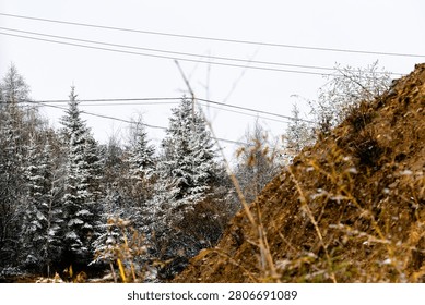 A view looking up at snow-covered pine trees set against a cloudy, bright sky, with a steep, textured earthy embankment in the foreground creating a rustic, natural composition.