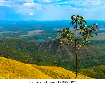 View From The Lookout At Chapada Dos Guimarães National Park – Brazil