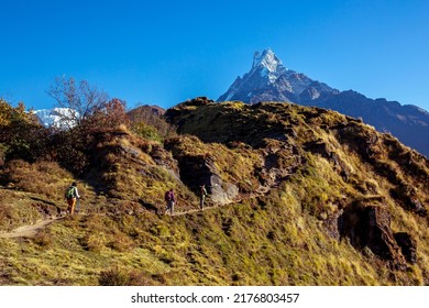 View of Machhapucchhre from Mardi Himal High camp