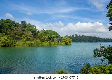the view of MacRitchie Reservoir Singapore, was completed in 1868 by impounding water from an earth embankment. 
There are boardwalks skirting the edge of the scenic MacRitchie Reservoir. 