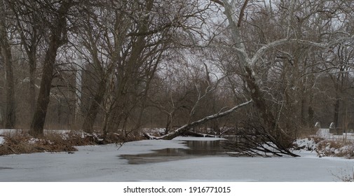 View Of The Mad River In Winter.