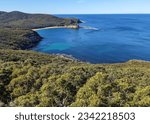 View of Maitland Bay in Bouddi National Park on the Central Coast of New South Wales, Australia. View of a wild, blue ocean bay, surrounded by eucalyptus forests.