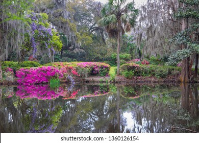 350 Wisteria River Images, Stock Photos & Vectors | Shutterstock