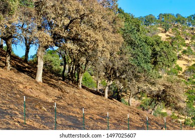 View From Marsh Creek Road Near Clayton, California.