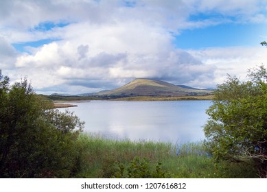 View From Mayo Greenway