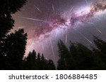 A view of a Meteor Shower and the purple Milky Way with pine trees forest silhouette in the foreground. Perseid Meteor Shower observation. Night sky nature summer landscape. Colorful shooting stars.