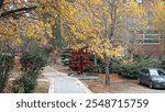 A view of Middle East Technical University campus in Autumn