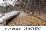 A view of Middle East Technical University campus in Autumn