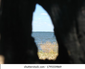 View of the milk estuary through a crevice in the tree