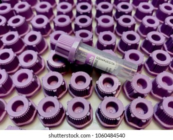 A View Of Mini Blood Tube Isolated On Top Of Blood Tube Cap As Background