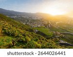 View from the Mirador de Humboldt lookout of the Orotava Valley towns of Puerto de la Cruz, La Orotava and Los Realejos, with Mt Teide volcano in the distance, on Tenerife Island, Spain at golden hour