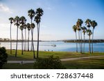 A view of Mission bay between two sets of palm trees by Dana Point in San Diego, California.