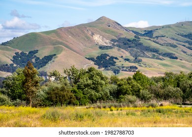 View Of Mission Peak, Fremont Central Park