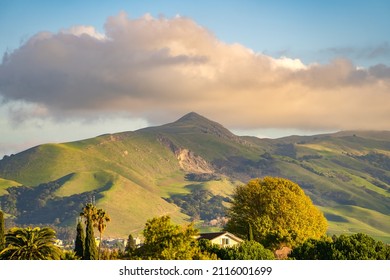 View Of Mission Peak, Fremont Central Park. 