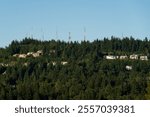 View of modern hillside neighborhood covered in green trees and large houses and telecommunications towers and antennas on ridge at top of hill, technology background
