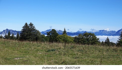 View Of Mont Blanc From The Molière Plateau In The Vercors