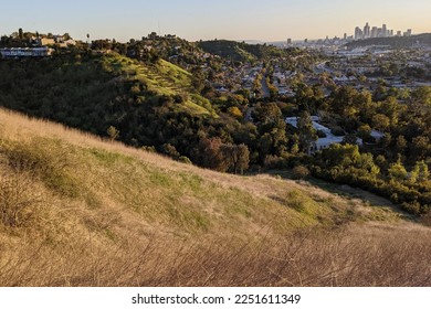 View of Montecito Heights from Ernest E. Debs Regional Park, Los Angeles, California