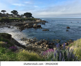 View Of Monterey Bay In Pacific Grove