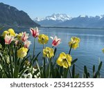 view of Montreux, Switzerland, with yellow and pink tulips standing out against the backdrop of Lake Geneva.