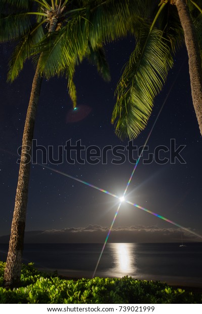 view of the moon and stars at night with palms
and ocean on the beach . beautiful
