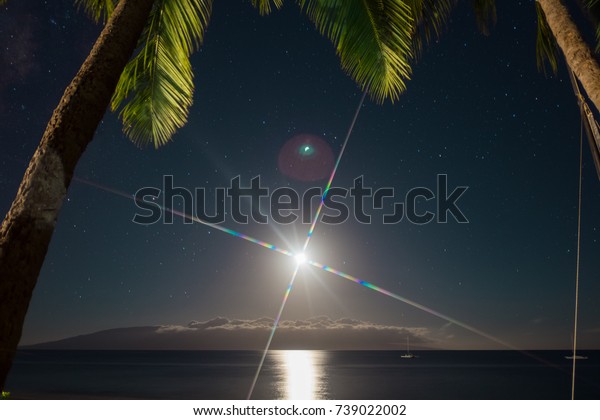 view of the moon and stars at night with palms\
and ocean on the beach . beautiful\
