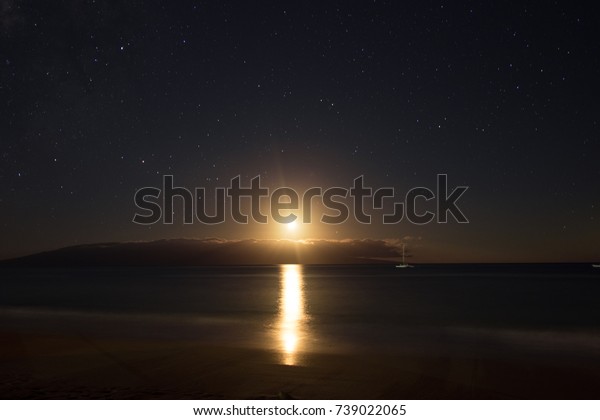 view of the moon and stars at night with palms\
and ocean on the beach . beautiful\
