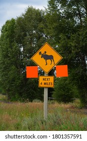 View Of A Moose Crossing Sign On The Road In Grand Teton National Park In Wyoming, United States